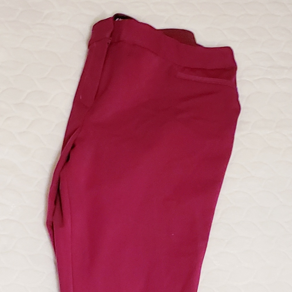 Express work pants